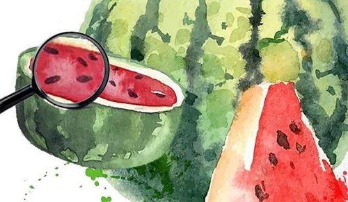 吃瓜小熊康康,揭秘娱乐圈的甜蜜瓜田