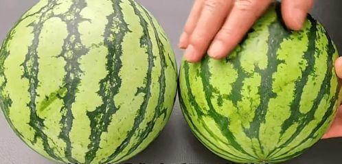 吃瓜的季节怎么挑,教你如何挑选新鲜美味瓜果