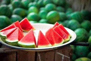 这天吃瓜得劲凉,吃瓜解暑，感受清凉一夏的乐趣