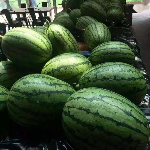 唐18吃瓜全集,娱乐圈风云再起