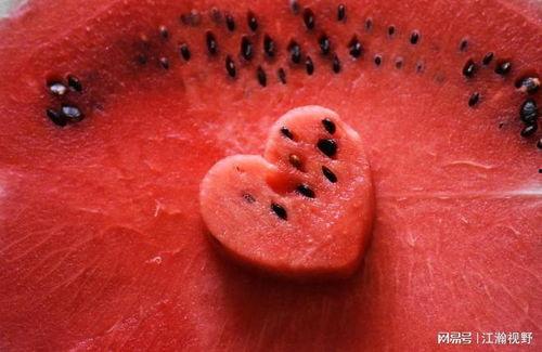 板票瓜怎么吃,解锁美味新体验