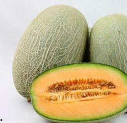 哈密瓜和芒果能一起吃吗,探索两者同食的奥秘