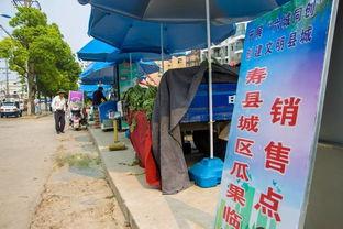 城管校吃瓜,揭秘校园里的“城管风云”