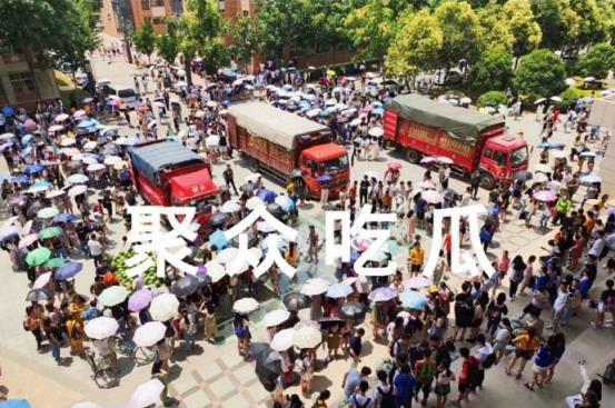 各大学吃瓜栅栏,揭秘校园生活趣味瞬间