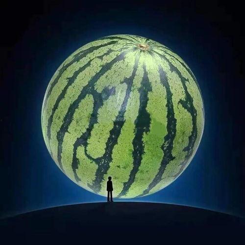 小道吃瓜,小道吃瓜，真相大白