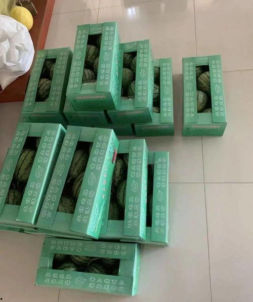 带你吃瓜之路牌,带你领略“带你吃瓜之路牌”的独特魅力