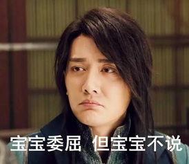 呆瓜吃不,探寻美食与生活的趣味之旅