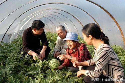 新疆库尔勒吃瓜事件视频,一场网络热议的甜蜜风波
