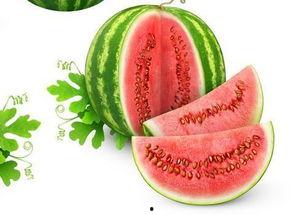 洋瓜星可以吃吗,揭秘其可食用性及营养价值