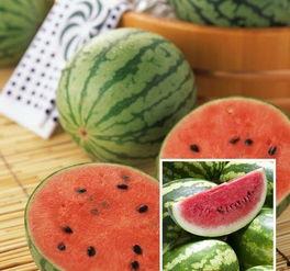 喜吃瓜日常,揭秘娱乐圈那些事儿