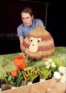 瓜哥带你吃瓜过生日,带你一起吃瓜过快乐时光