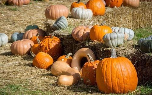 柳巷吃瓜,探寻老街市井生活百态