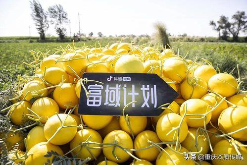 抖音保定吃瓜,揭秘网红美食背后的故事