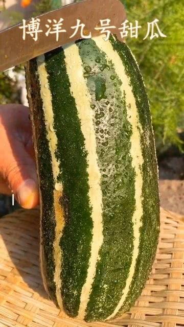 你是吃瓜还是没吃瓜,吃瓜群众视角下的娱乐圈风云