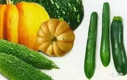 汇穿汇戴吃瓜,吃瓜群众眼中的时尚盛宴