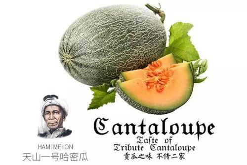 糖人吃蜜瓜,甜蜜邂逅，尽享夏日清凉