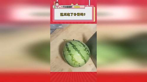 吃瓜补肾,揭秘瓜类食物的补肾功效