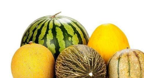 做梦老是吃瓜,瓜果飘香，梦回瓜田