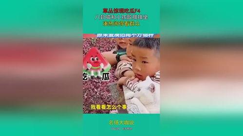 f4吃瓜,娱乐圈的甜蜜与苦涩