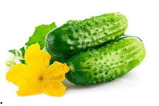 黃瓜蕊怎么吃,黄瓜蕊的多样食用方法探索