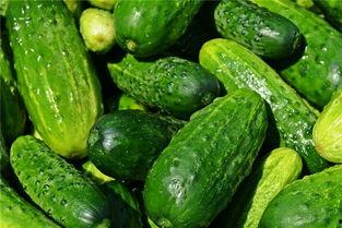 梦冉吃瓜,揭秘娱乐圈幕后故事