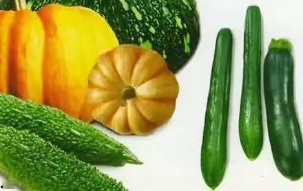 雷山吃瓜,一场别开生面的吃瓜盛宴