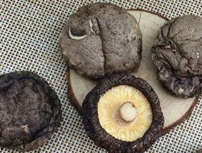 香菇和沙瓜能一起吃吗,香菇与沙瓜的搭配食用探讨