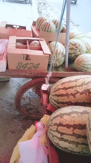 今天吃瓜好甜啊